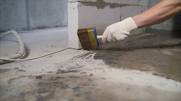 SJ Waterproofing Pros Basement Waterproofing coverage map for Butler, TN and surrounding area